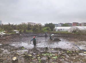 安仁河道鱼塘清淤